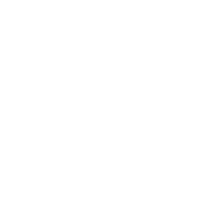 VitaePro – BARSK partnerlogo